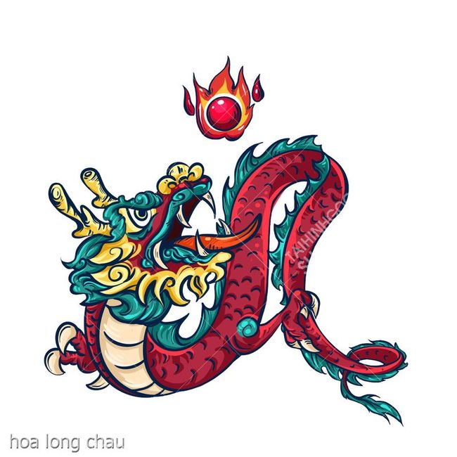 hoa long chau